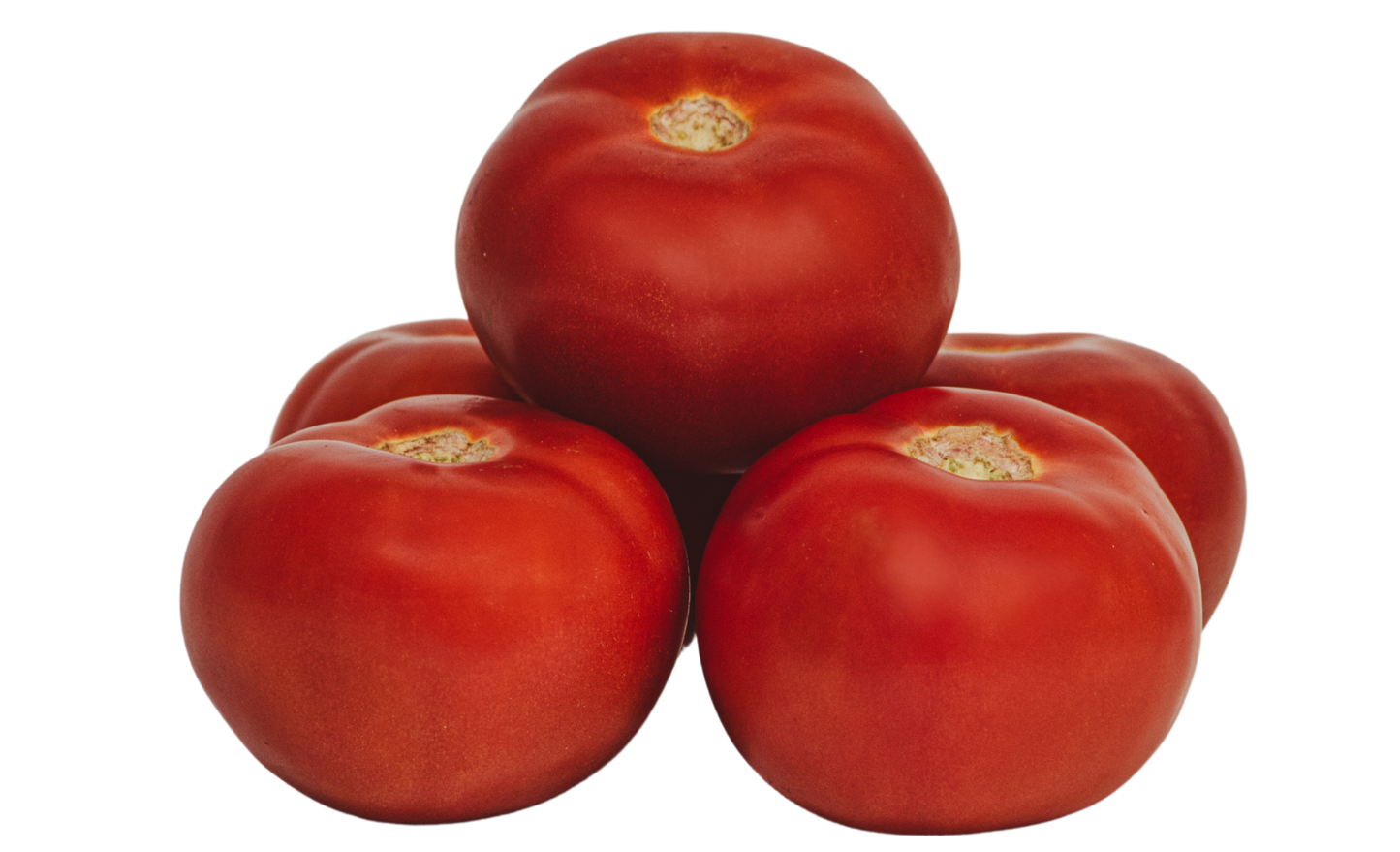 Tomate