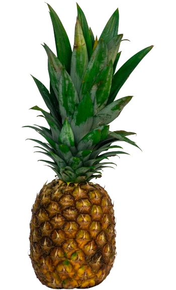 Piña