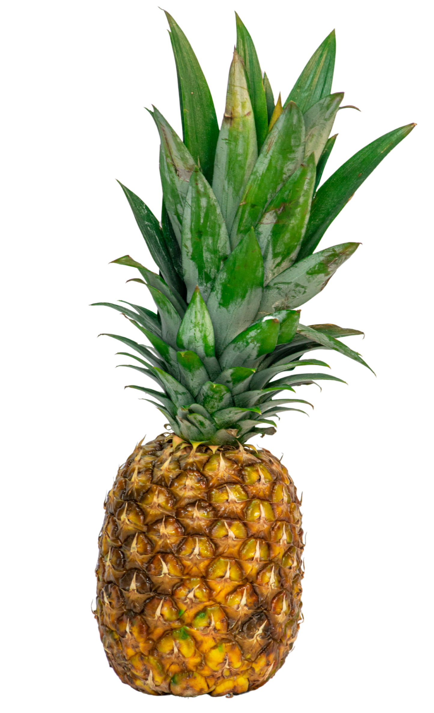 Piña