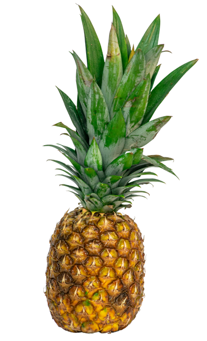 Piña