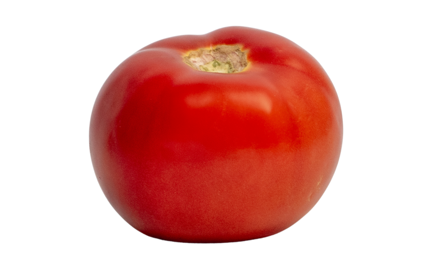 Tomate