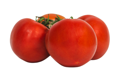 Tomate Rama