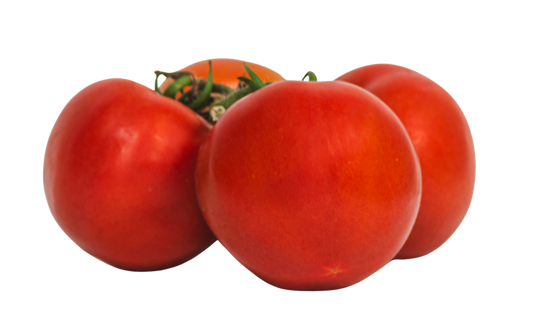 Tomate Rama