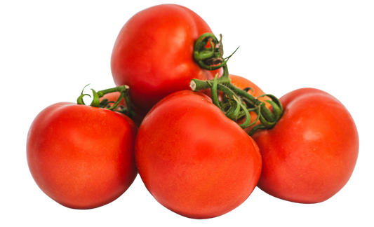 Tomate Rama